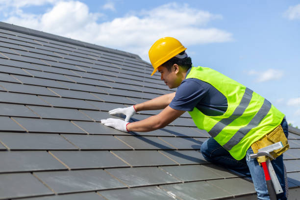 Roof Gutter Cleaning in Quitman, MS