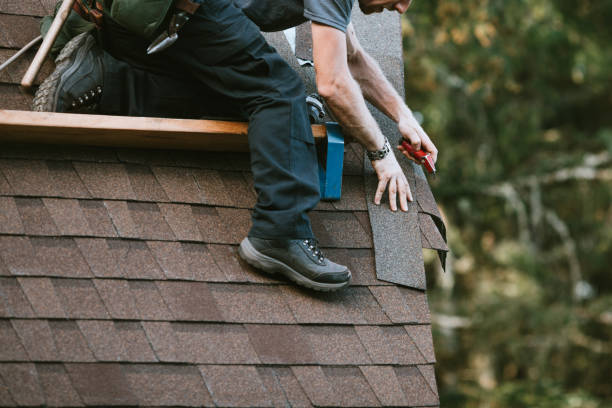 Best Shingle Roofing Installation  in Quitman, MS